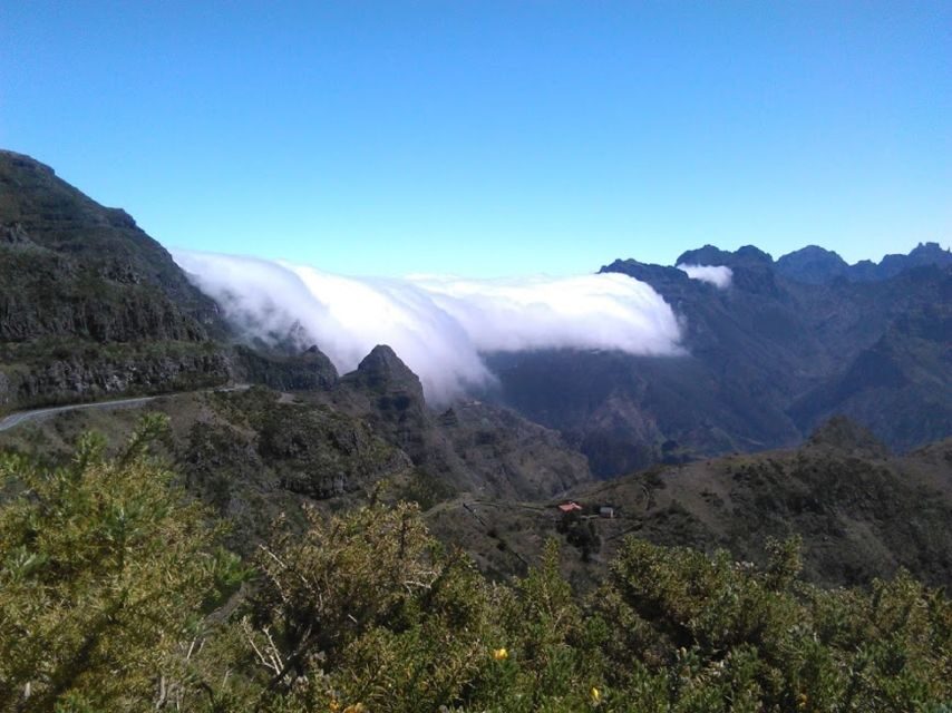 From Funchal: West Madeira and Laurel Forest Day Trip - Fanal Forest (Laurisilva): centenary laurel trees and misty drama