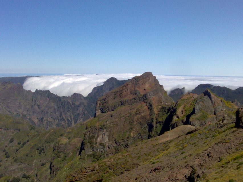 From Funchal: West Madeira Waterfalls and Fanal Forest Tour - Véu da Noiva, São Vicente, and north-coast waterfalls