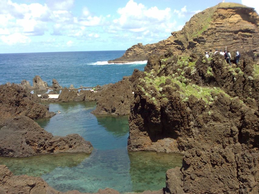 From Funchal: West Madeira Waterfalls and Fanal Forest Tour - Pickup, seats, and how to set yourself up