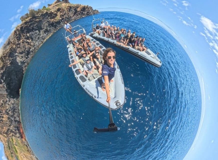 From Funchal: Whale and Dolphin Watching - Who should book this Funchal whale and dolphin tour