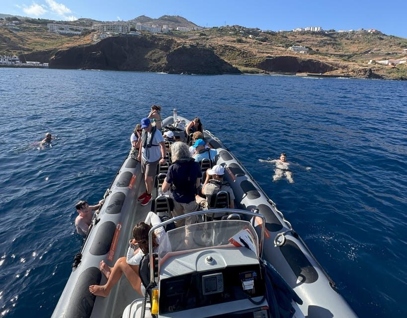 From Funchal: Whale and Dolphin Watching - What you might see: pilot whales, sperm whales, and multiple dolphin species