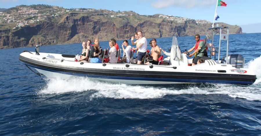 From Funchal: Whales and Dolphin Adventure Tour - The 2-hour cruise: how your time on the water is used