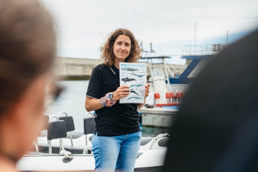 From Funchal: Whales and Dolphin Adventure Tour - The respect-first rules: how the crew keeps it wild