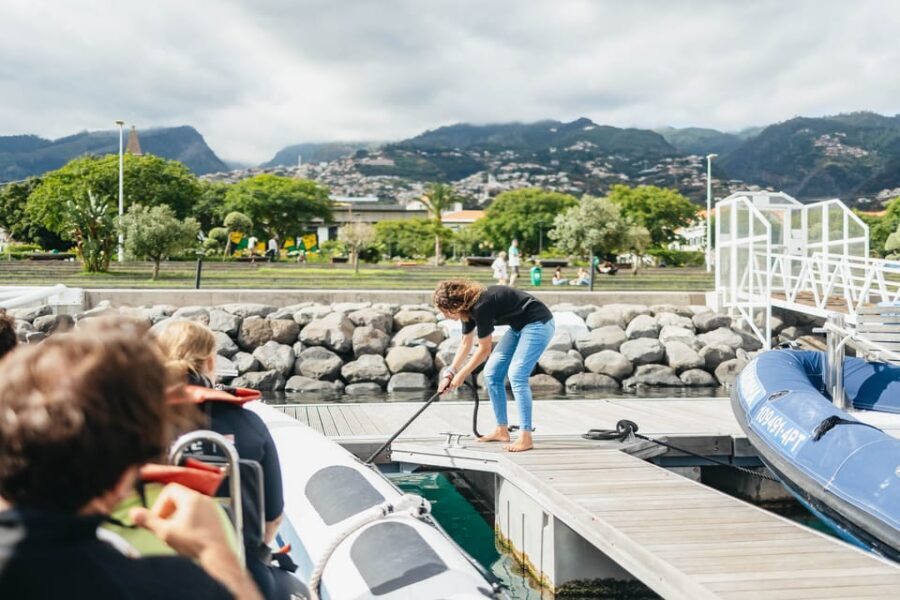 From Funchal: Whales and Dolphin Adventure Tour - Funchal meeting point: getting on the boat without stress