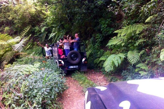 Full Day Jeep Safari East - Pico do Areeiro - Santana - Ponta de são Lourenço - Ribeiro Frio and Balcões: The Levada Walk Break You’ll Remember