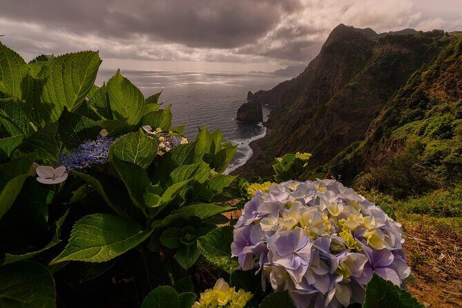 Full Day Madeira Island Tour - Open Roof - Poça das Lesmas: volcanic rock pools with turquoise contrast