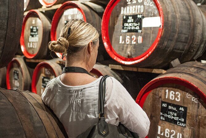 Full-Day Madeira Wine Tasting Tour with Lunch - Câmara de Lobos views: terraced vineyards without rushing