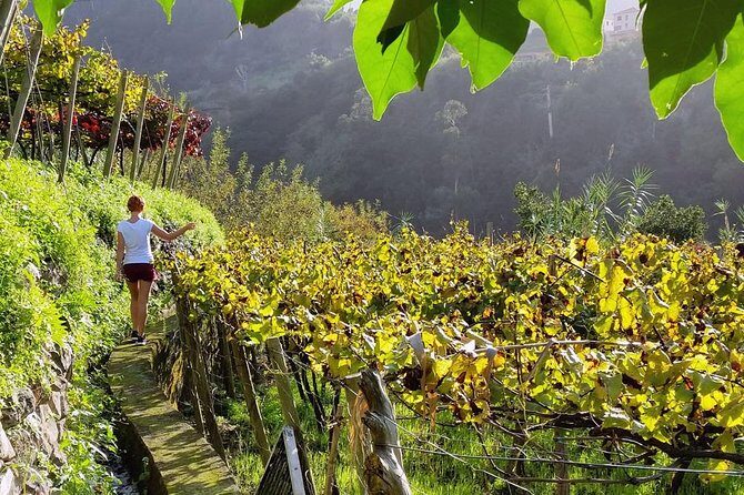 Full-Day Madeira Wine Tasting Tour with Lunch - First stop magic: starting in São Vicente and getting the Madeira context