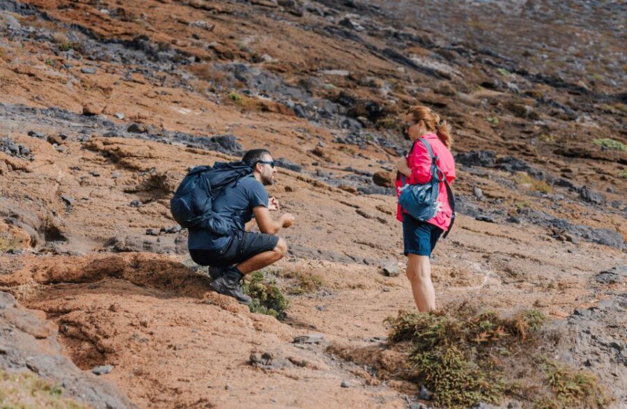 Full Day Ponta de São Lourenço - Natural Reserve - Seabirds and what to look for (without getting stressed)