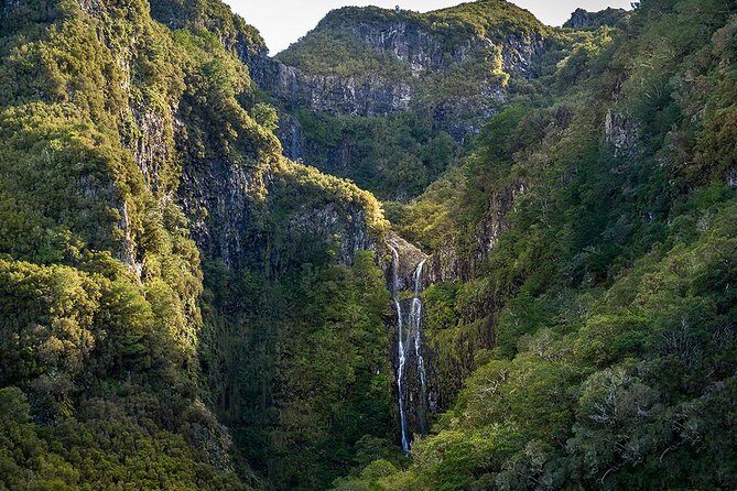 Full-Day Rabaçal Levada Walk from Funchal - Why the Rabacal Levada walk is such a good Madeira day