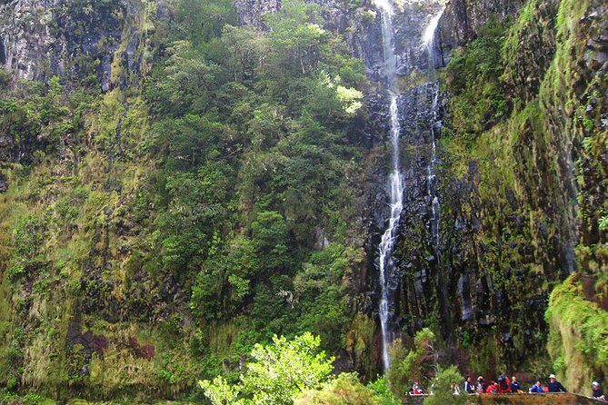 Full-Day Rabaçal Levada Walk from Funchal - Paul da Serra descent and the Risco waterfall stop