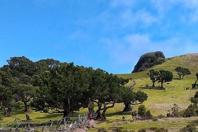 Full-Day Small Group Jeep Safari Tour from Funchal - Price and Value: The Real Math