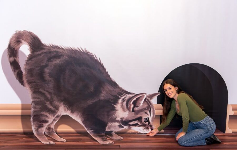 Funchal: 3D Fun Art Museum - FAQ