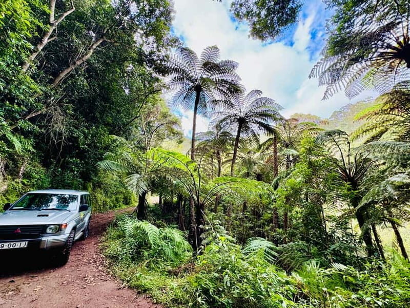 Funchal: 4x4 Jeep Trip to the East and Northeast of Madeira - Key things to know before you go