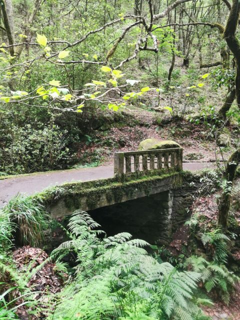 Funchal: 4x4 Jeep Trip to the East and Northeast of Madeira - Ribeiro Frio and the Levada walk (Balcōes option)