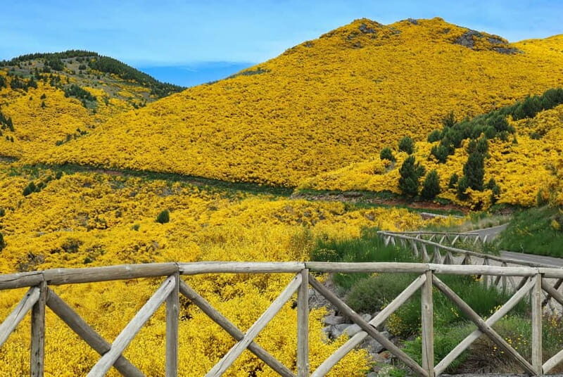 Funchal: 4x4 Jeep Trip to the East and Northeast of Madeira - Santana’s triangular houses: culture stop, plus a timing reality check