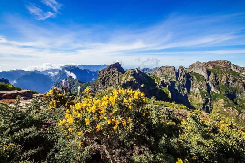 Funchal: 4x4 Jeep Trip to the East and Northeast of Madeira - The opening moves: Funchal pickup to Paredão viewpoint