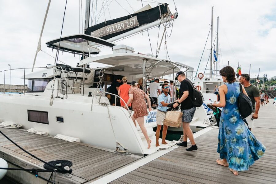 Funchal Bay: Dolphin & Whale Watch Luxury Catamaran Cruise - Key moments worth circling