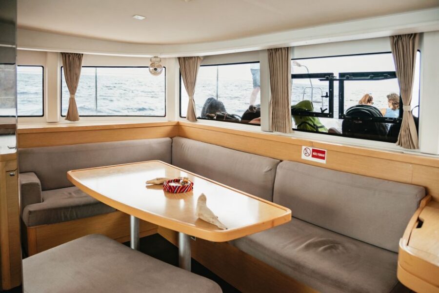 Funchal Bay: Dolphin & Whale Watch Luxury Catamaran Cruise - What to pack and simple habits that improve your odds