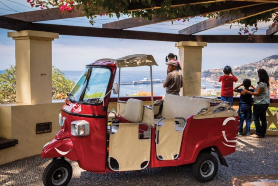 Funchal: Best Viewpoints Guided Tuk Tuk Tour - Why This Tuk Tuk Route Works in Funchal