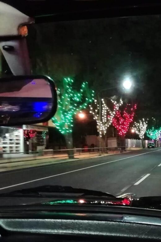 Funchal: Christmas Lights Sightseeing Night Tour - Should You Book This Christmas Lights Night Tour in Funchal?