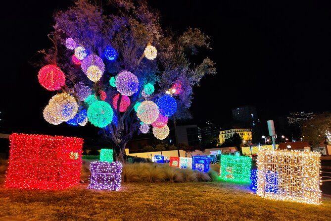 Funchal: Christmas Lights Sightseeing Night Tour - Photo Stops and the Best Angles for Capturing the Lights