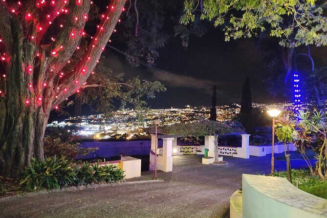 Funchal: Christmas Lights Sightseeing Night Tour - Guides Like Miguel and Rodolfo: Turning Decorations Into Place