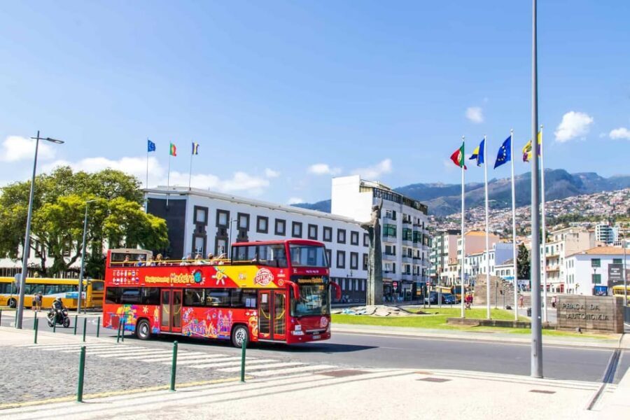 Funchal: City Sightseeing Hop-On Hop-Off Bus Tour - Blue Route with 48 hours: Monte, Jardim do Imperador, and cable car-side planning
