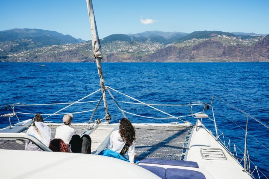 Funchal: Dolphin and Whale Watching by Luxury Catamaran - Small-Group Advantage: Fewer Passengers, Better Viewing