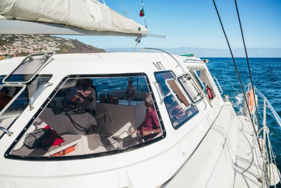 Funchal: Dolphin and Whale Watching by Luxury Catamaran - Why This Funchal Dolphin and Whale Trip Feels Different
