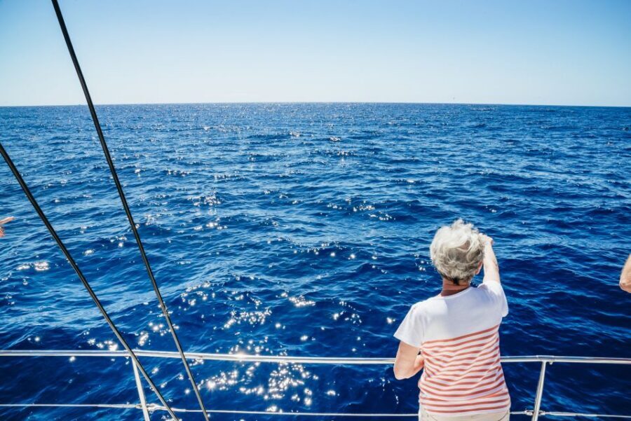 Funchal: Dolphin and Whale Watching by Luxury Catamaran - Getting Started at Pier 8: The First 20 Minutes