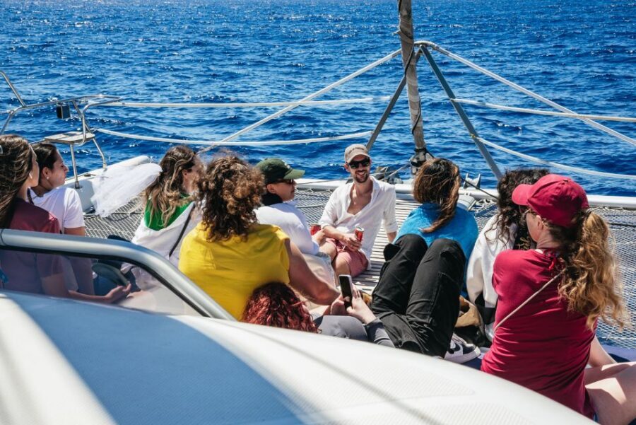 Funchal: Dolphin and Whale Watching by Luxury Catamaran - Step-by-Step Itinerary: What Happens During the Cruise