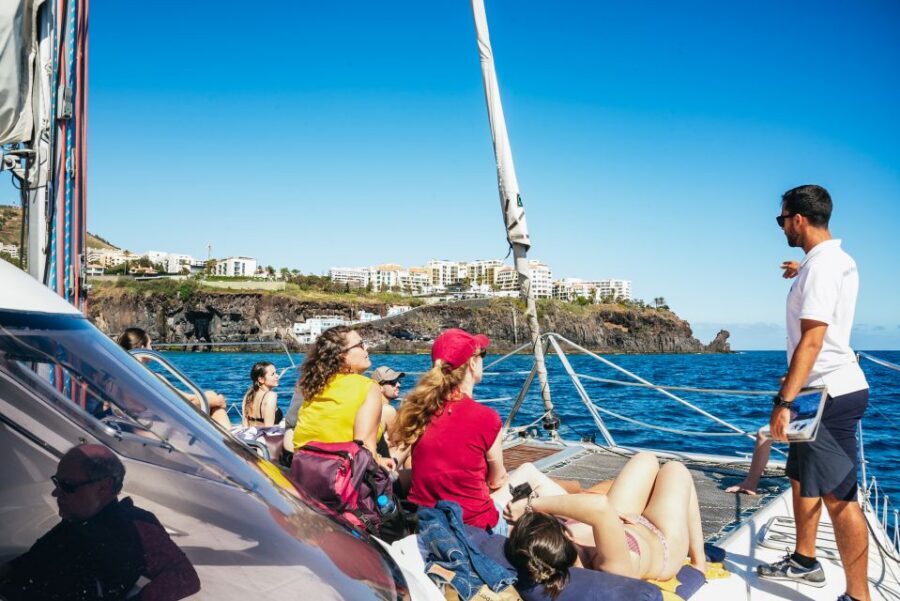 Funchal: Dolphin and Whale Watching by Luxury Catamaran - Cabo Girão Is Not Just a Photo Stop