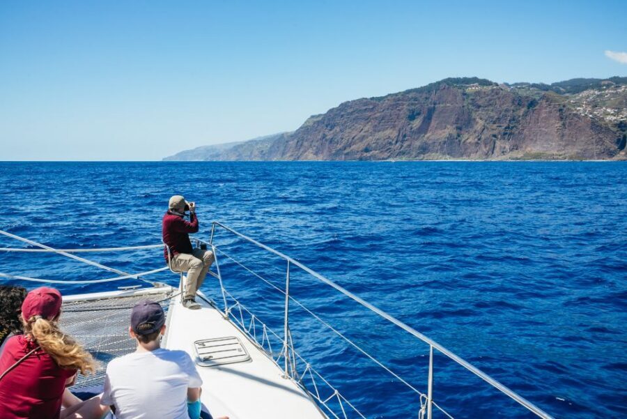 Funchal: Dolphin and Whale Watching by Luxury Catamaran - Onboard Comfort: Indoors, Outdoors, and Those Trampoline Nets