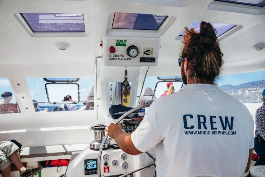 Funchal: Dolphin and Whale Watching by Luxury Catamaran - Wildlife Odds: How to Think About Dolphins, Whales, and More