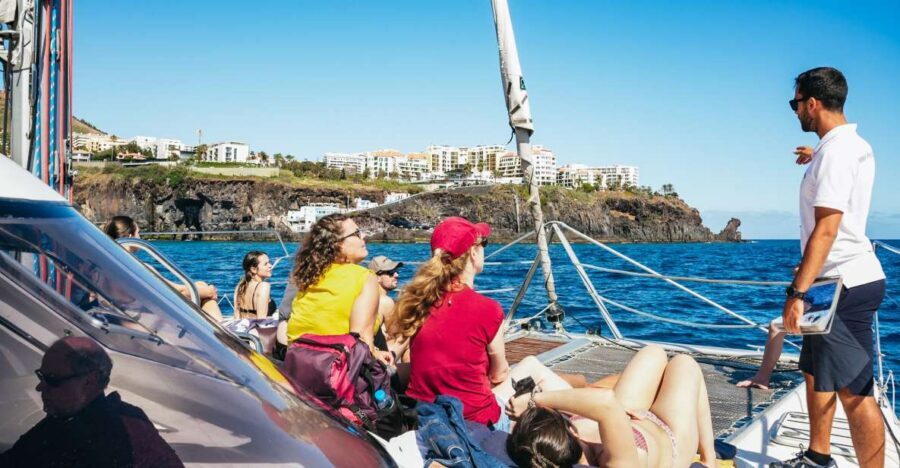 Funchal: Dolphin and Whale Watching by Luxury Catamaran - Price and Value: Is $47 for 3 Hours Fair?