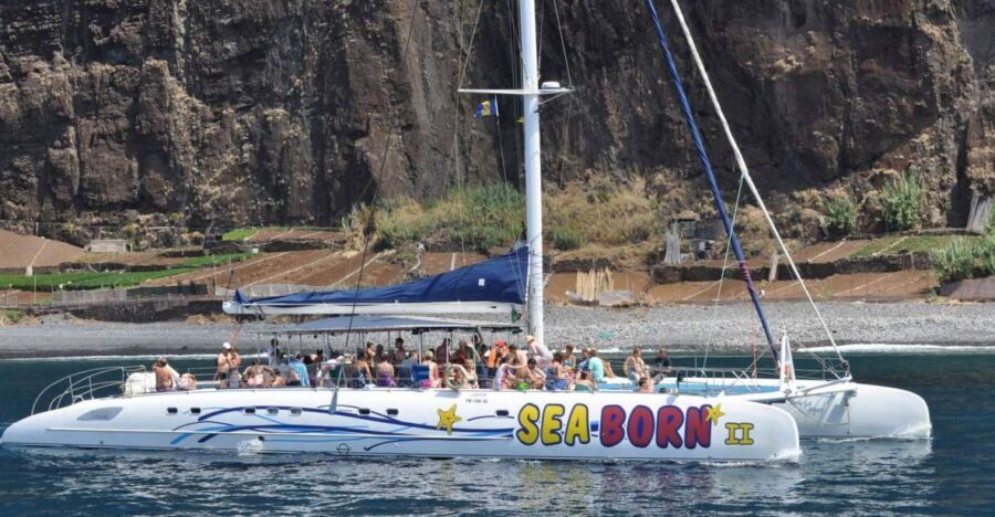 Funchal: Dolphin and Whale Watching Catamaran Cruise - Should you book Funchal’s dolphin and whale catamaran?