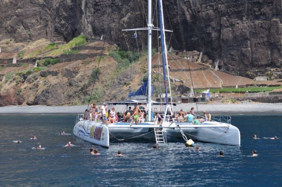 Funchal: Dolphin and Whale Watching Catamaran Cruise - Who this cruise suits best (and who should skip it)