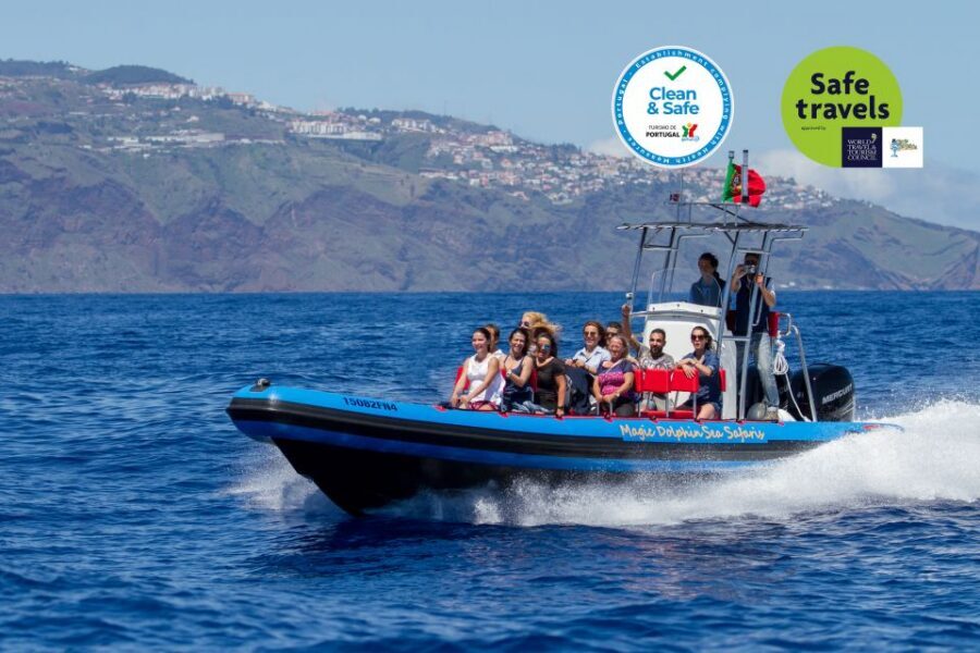 Funchal: Dolphin and Whale Watching Cruise - Magic Dolphin check-in: the part that keeps the day on track