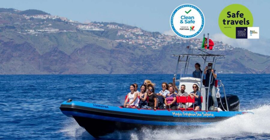 Funchal: Dolphin and Whale Watching Cruise - Spotters + captain spotting: how you go from hoping to hunting