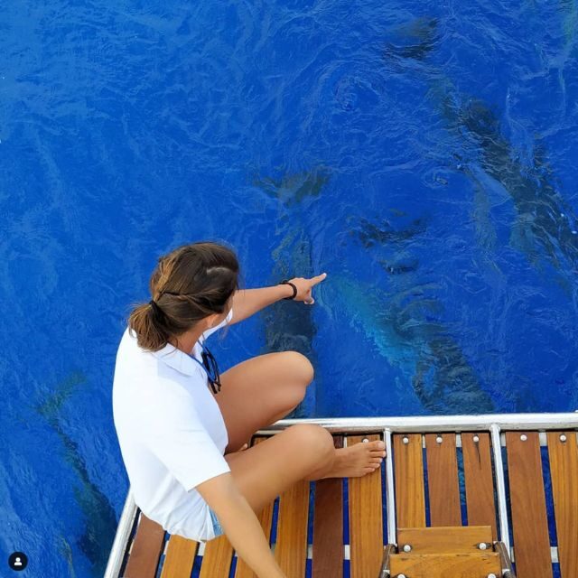 Funchal: Dolphin and Whale Watching Sailing Trip - Meeting at Praça do Povo, Cais 8: easy start, quick boarding