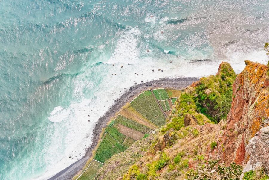 Funchal: Dolphin and Whale Watching Sailing Trip - Wildlife spotting for dolphins, whales, and sea turtles (without the chaos)