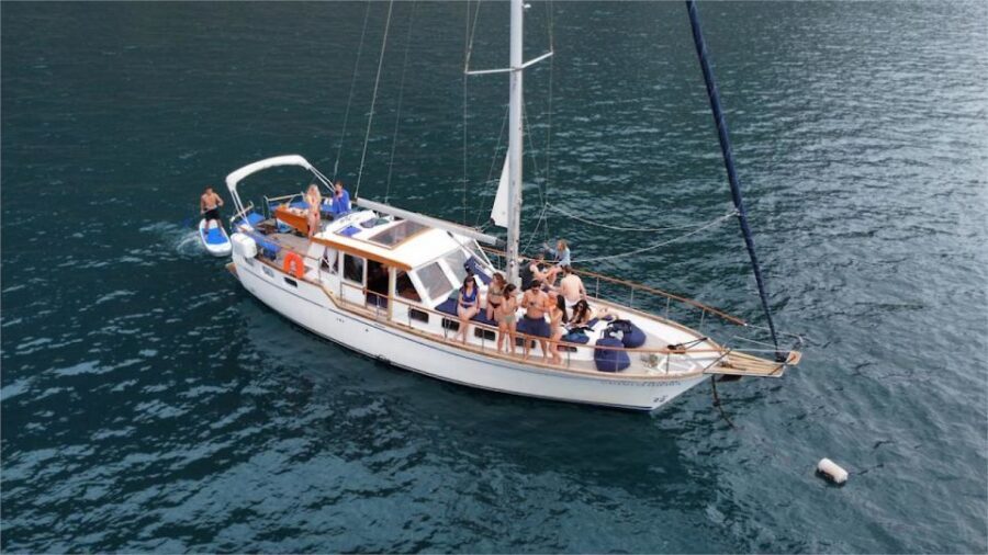 Funchal: Dolphin and Whale Watching Sailing Trip - The sail out of Funchal Marina: what your 3 hours actually feel like