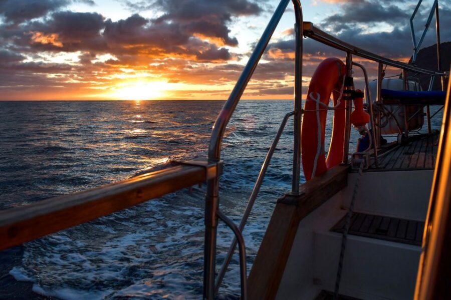 Funchal: Dolphin and Whale Watching Sunset Sailing Tour - Key Points You’ll Care About