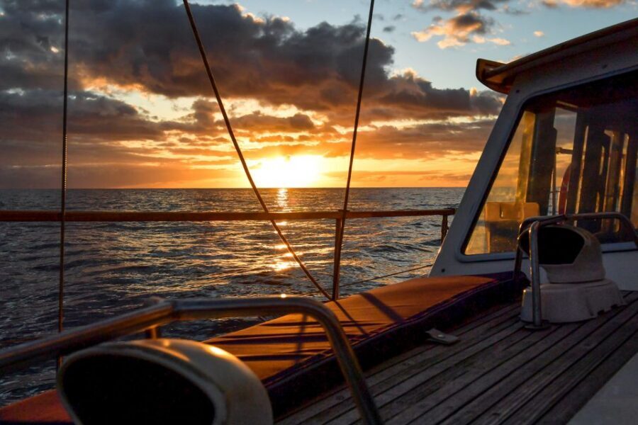 Funchal: Dolphin and Whale Watching Sunset Sailing Tour - Cabo Girão Sunset Sails: What This Trip Feels Like