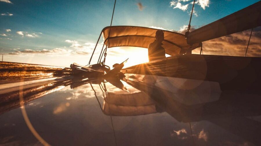 Funchal: Dolphin and Whale Watching Sunset Sailing Tour - On Board for Up to 20: The Crew, the Safety, and the Pace