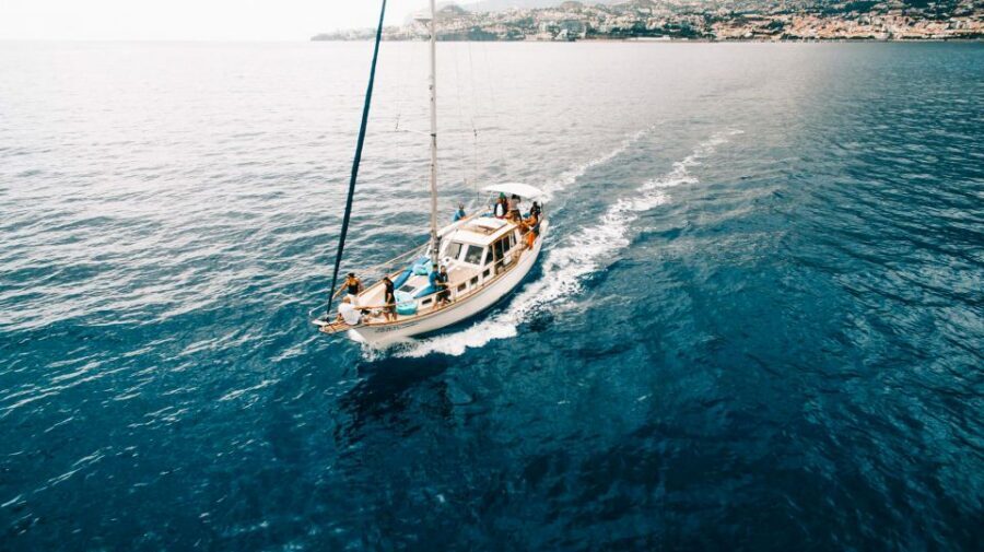 Funchal: Dolphin and Whale Watching Sunset Sailing Tour - Cabo Girão Swim and Snorkel: Europe’s 580-Meter Sea Cliff