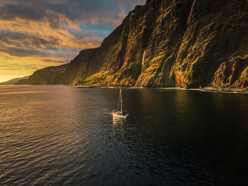 Funchal: Dolphin and Whale Watching Sunset Sailing Tour - Who This Tour Fits Best (and Who Might Skip It)