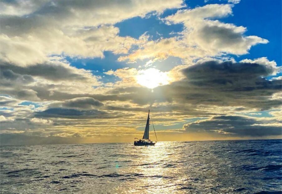 Funchal: Dolphin and Whale Watching Sunset Sailing Tour - Should You Book Gaviao Madeira’s Dolphin and Whale Sunset Sail?