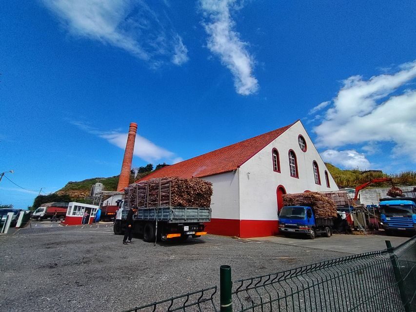 Funchal: East Madeira Island Guided Tour & Laurissilva Walk - Who this East Madeira day tour fits best